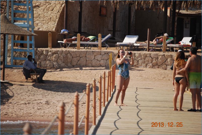 sharm 12 115